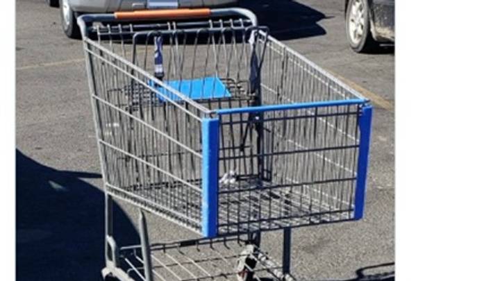 Shopping Cart Shopping Cart