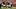 Tytus Howard, Deshaun Watson, Cleveland Browns Tytus Howard, Deshaun Watson, Cleveland Browns