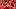 Oct 3, 2026; Madison, Wisconsin, USA; Wisconsin cheerleaders perform during a game against Michigan State. Oct 3, 2026; Madison, Wisconsin, USA; Wisconsin cheerleaders perform during a game against Michigan State.