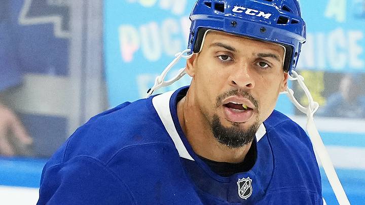 Oct 19, 2024; Toronto, Ontario, CAN; Toronto Maple Leafs right wing Ryan Reaves (75) skates during the warmup before a game against the New York Rangers at Scotiabank Arena. Mandatory Credit: Nick Turchiaro-Imagn Images