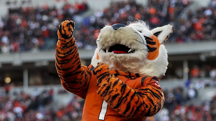 Dec 4, 2022; Cincinnati, Ohio, USA; The Cincinnati Bengals mascot cheers during the first half against the Kansas City Chiefs at Paycor Stadium. Mandatory Credit: Katie Stratman-Imagn Images
Dec 4, 2022; Cincinnati, Ohio, USA; The Cincinnati Bengals mascot cheers during the first half against the Kansas City Chiefs at Paycor Stadium. Mandatory Credit: Katie Stratman-Imagn Images