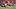 Luke Shaw, Julio Enciso, Bryan Mbeumo Luke Shaw, Julio Enciso, Bryan Mbeumo