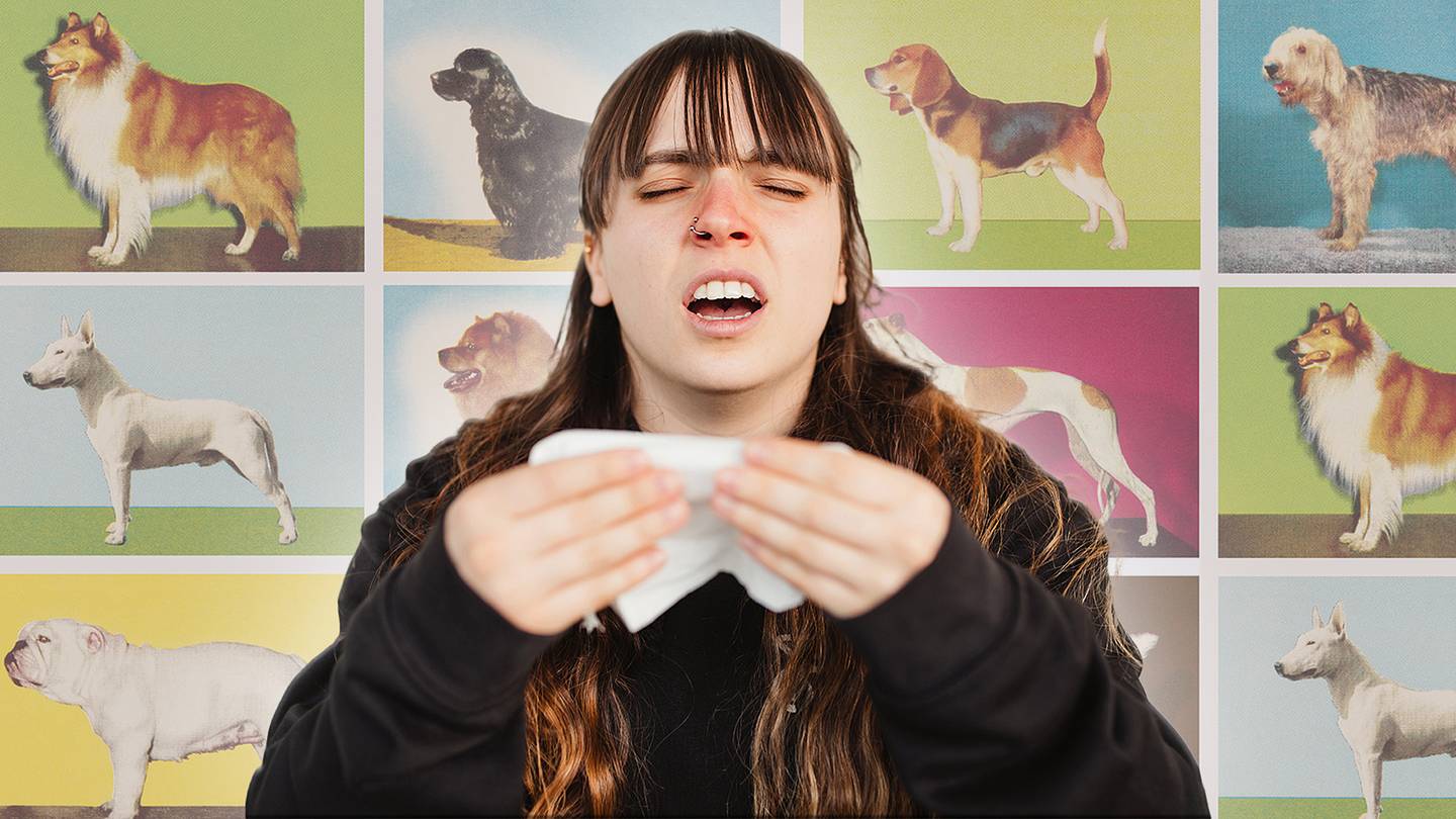 Is There Such Thing as a Hypoallergenic Pet?