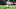 DeSean Jackson DeSean Jackson