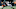 NY Jets, Michael Carter NY Jets, Michael Carter