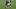 Folarin Balogun, Tarik Muharemovic Folarin Balogun, Tarik Muharemovic