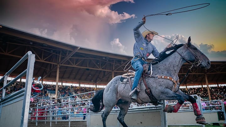 Taylor Santos Taylor Santos