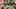Sep 10, 2026; Miami Gardens, Florida, USA; Miami Hurricanes running back Mark Fletcher Jr. (4) runs with the ball in the fir Sep 10, 2026; Miami Gardens, Florida, USA; Miami Hurricanes running back Mark Fletcher Jr. (4) runs with the ball in the fir