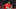 FBL-FRA-LIGUE1-RENNES-AMIENS FBL-FRA-LIGUE1-RENNES-AMIENS