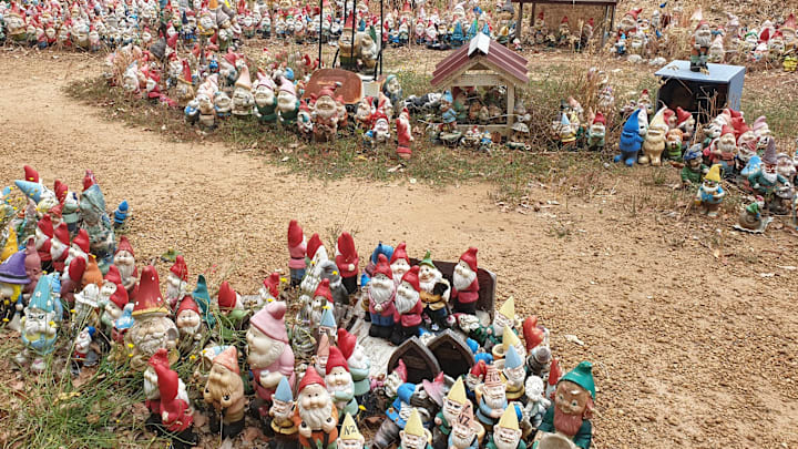 Gnomesville, pop. 5000.