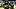 Pittsburgh Steelers running back Rico Dowdle Pittsburgh Steelers running back Rico Dowdle