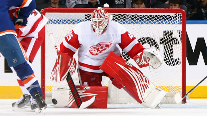 Detroit Red Wings v New York Islanders