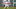 Boston Red Sox shortstop Trevor Story Boston Red Sox shortstop Trevor Story