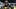 Pittsburgh Steelers running back Rico Dowdle Pittsburgh Steelers running back Rico Dowdle