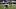 Vanderbilt kicker Brock Taylor Vanderbilt kicker Brock Taylor