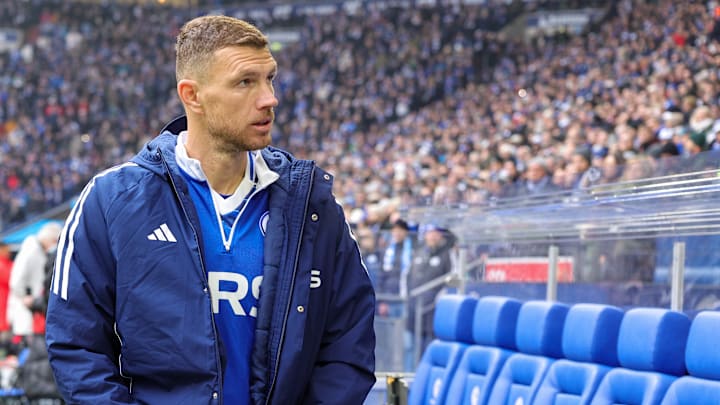 Edin Dzeko darf wohl durchaus als Top-Transfer der 2. Bundesliga bezeichnet werden Edin Dzeko darf wohl durchaus als Top-Transfer der 2. Bundesliga bezeichnet werden