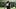 New Orleans Saints linebacker Demario Davis looks on during a joint practice against the Los Angeles Rams. New Orleans Saints linebacker Demario Davis looks on during a joint practice against the Los Angeles Rams.