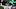 New York Yankees outfielder Cody Bellinger New York Yankees outfielder Cody Bellinger