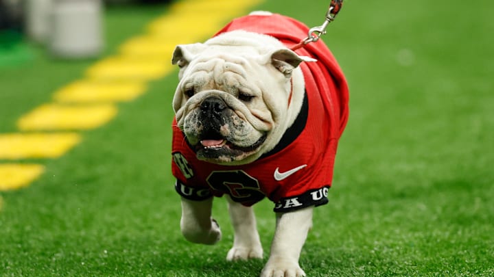 Jan 1, 2026; New Orleans, LA, USA; Georgia Bulldogs mascot Uga walks the sideline in the first half during the 2025 Sugar Bowl and quarterfinal game of the College Football Playoff against the Mississippi Rebels at Caesars Superdome. Mandatory Credit: Geoff Burke-Imagn Images Jan 1, 2026; New Orleans, LA, USA; Georgia Bulldogs mascot Uga walks the sideline in the first half during the 2025 Sugar Bowl and quarterfinal game of the College Football Playoff against the Mississippi Rebels at Caesars Superdome. Mandatory Credit: Geoff Burke-Imagn Images