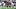 Dallas Cowboys linebackers Jaishawn Barham. Dallas Cowboys linebackers Jaishawn Barham.