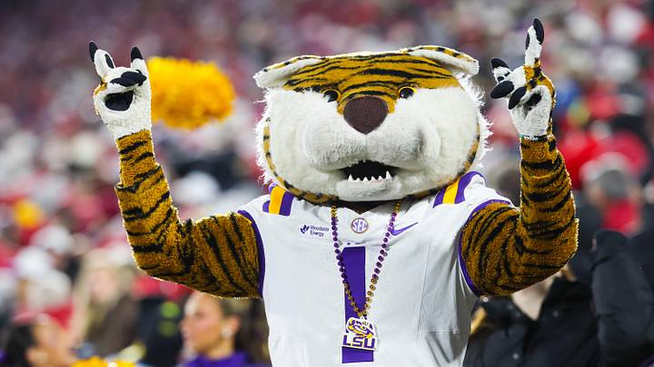 Nov 29, 2025; Norman, Oklahoma, USA;  Louisiana State Tigers mascot during the game against the Oklahoma Sooners at Gaylord Family-Oklahoma Memorial Stadium. Mandatory Credit: Kevin Jairaj-Imagn Images