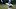 Miami Marlins starting pitcher Pablo Lopez. Miami Marlins starting pitcher Pablo Lopez.