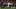 Boston Red Sox left fielder Jarren Duran Boston Red Sox left fielder Jarren Duran