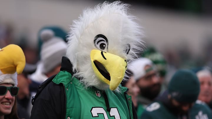 Jan 12, 2025: Philadelphia Eagles fan during the first quarter against the Green Bay Packers in the NFC wild card game