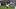 Chicago Bears wide receiver Rome Odunze.