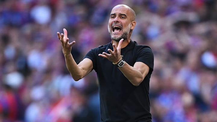 Crystal Palace v Manchester City - Emirates FA Cup Final