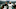 Jets, Dolphins