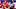 Houston Cougars quarterback Conner Weigman Houston Cougars quarterback Conner Weigman