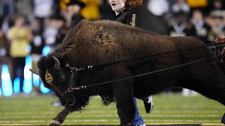 Sep 27, 2025; Boulder, Colorado, USA; Colorado Buffaloes mascot Ralphie VII runs onto Folsom Field before the game against the Brigham Young Cougars . Mandatory Credit: Ron Chenoy-Imagn Images
