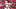 St. Louis Cardinals starting pitcher Matthew Liberatore