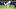 Milwaukee Brewers starting pitcher Brandon Woodruff