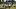 Southern Miss Football, Running Backs, USM Southern Miss Football, Running Backs, USM
