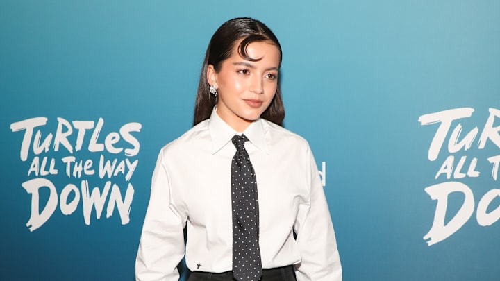 Los Angeles Advanced Screening Of "Turtles All The Way Down"