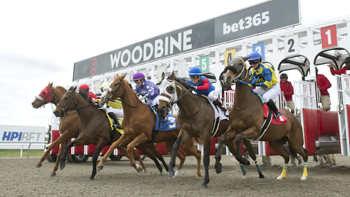 Toronto, ON April 26, 2025 Woodbine Racetrack. Thoroughbred's break from the starting gate 1st race of the 128 day meet.