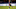 Gregory Van Der Wiel Gregory Van Der Wiel