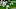 C.J. Gardner-Johnson, Browns C.J. Gardner-Johnson, Browns