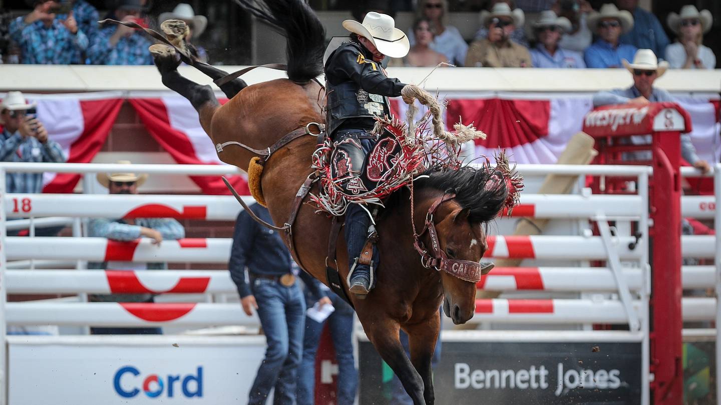 Pro Rodeo Trophy The Best of the Best ProRodeo Stock of the Year Awards Announced by PRCA
