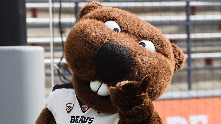 Oct 9, 2021; Pullman, Washington, USA; Oregon State Beavers mascot Benny poses for a photo during a game against the Washington State Cougars in the first half at Gesa Field at Martin Stadium. Mandatory Credit: James Snook-USA TODAY Sports Oct 9, 2021; Pullman, Washington, USA; Oregon State Beavers mascot Benny poses for a photo during a game against the Washington State Cougars in the first half at Gesa Field at Martin Stadium. Mandatory Credit: James Snook-USA TODAY Sports