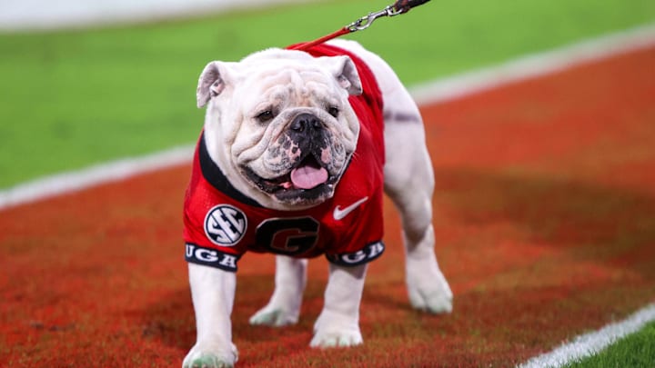 Oct 12, 2024; Athens, Georgia, USA; Georgia Bulldogs mascot Uga on the sideline during a game against the Mississippi State Bulldogs in the fourth quarter at Sanford Stadium. Mandatory Credit: Brett Davis-Imagn Images
