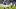 Colts DT Grover Stewart (Blue Jersey, Number 90) walks off with Colts DT Adetomiwa Adebawore (Blue Jersey, Number 95) Colts DT Grover Stewart (Blue Jersey, Number 90) walks off with Colts DT Adetomiwa Adebawore (Blue Jersey, Number 95)