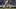 Philadelphia Phillies shortstop Trea Turner Philadelphia Phillies shortstop Trea Turner