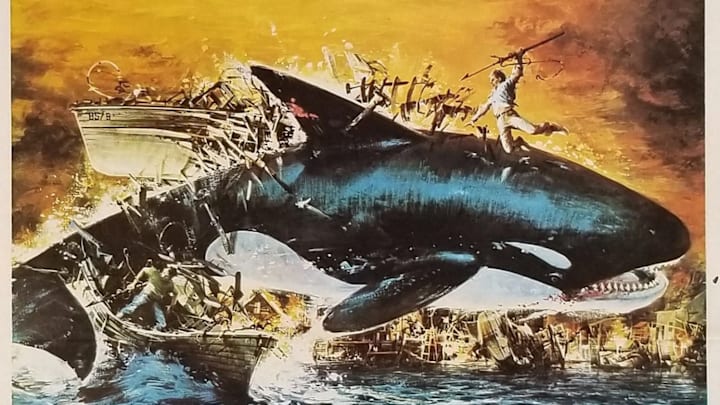 Art from the poster for ‘Orca’ (1977)