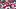 New England Patriots quarterback Drake Maye (10) New England Patriots quarterback Drake Maye (10)