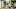 AllDead_Unit_11_65309 AllDead_Unit_11_65309