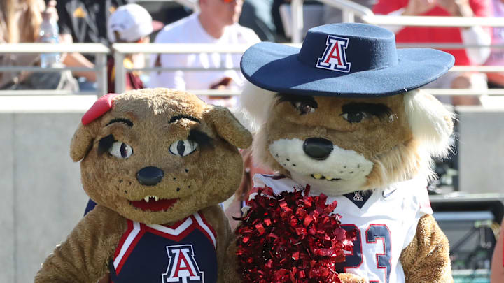 Arizona v Arizona State