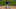 Colorado Rockies relief pitcher Luis Peralta